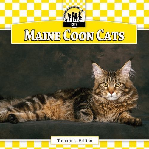 Maine coon cats - cats, by